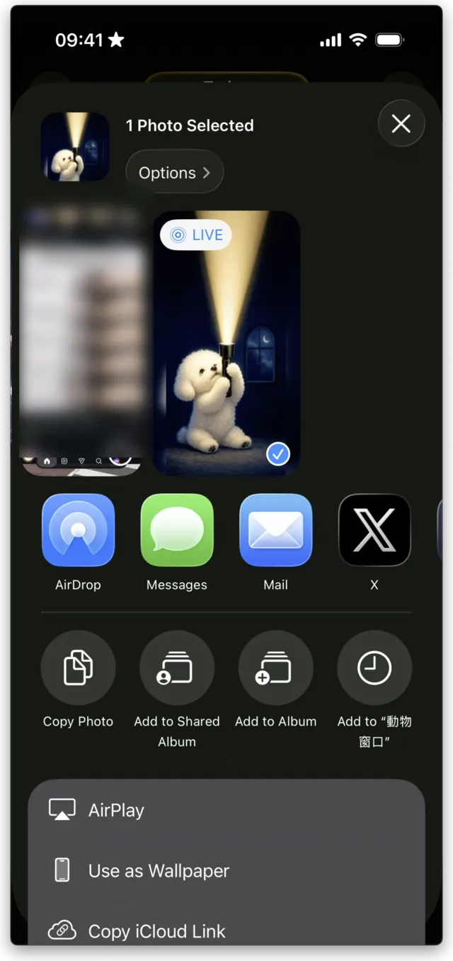 iPhone share sheet with one Live Photo selected and the “Use as Wallpaper” action visible in the bottom list